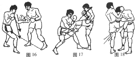  泰拳膝技十招（安在峰）-武风武术网http://www.wfeng.net