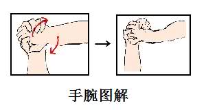  综合格斗技基本技术(绞杀技?关节技)