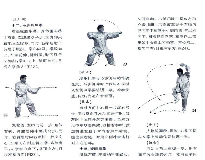  大洪拳六步架之三步架(中)----安在峰