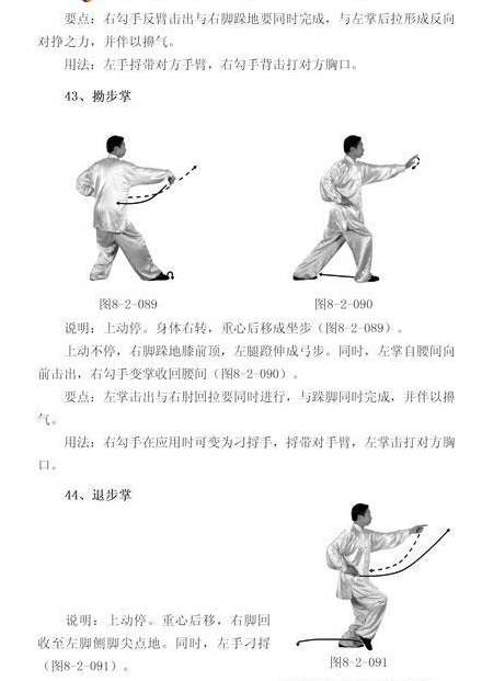  八极拳----李树栋