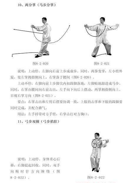  八极拳----李树栋