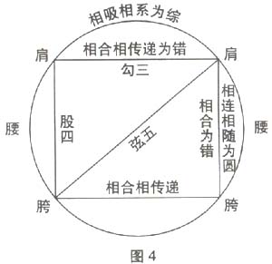  如何理解陈式太极拳的外三合图片4